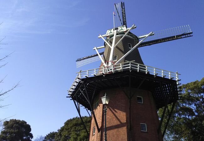 🌳 토소파크 에이겐잔(토소파크 에이겐잔) 이미지 1